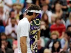 Del Potro cayó con Ferrer y se despidió de Wimbledon