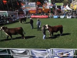 Se largó la 107ª edición de la Expo Prado