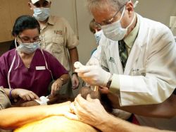 Someten por primera vez a quimioterapia a una orangután