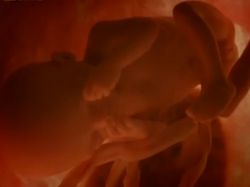 El video que utiliza la oposición contra ley de aborto El video que utiliza la oposición contra ley de aborto