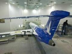 Pluna: exempleados conformes pero exigen beneficios