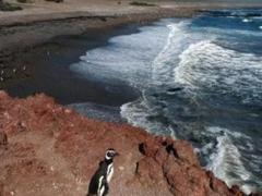 Influencia de grandes fortunas en políticas sobre clima