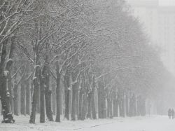 Clima: encomiendan a 8 países resolver cuestiones pendientes