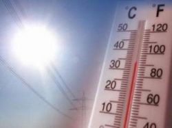 Se adelantaron los cuadros de gastroenterocolitis por calor