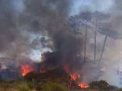 Bomberos pide tomar precauciones por incendios