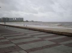 Advierten sobre "espuma cianobacteriana" en playas