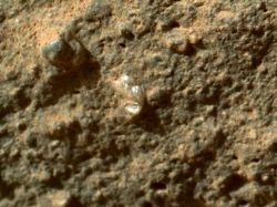 Curiosity descubre un elemento similar a una flor en Marte