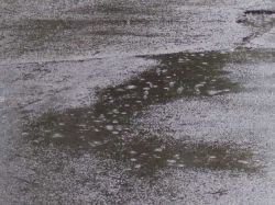 Desfile: suspensión depende de intensidad de la lluvia