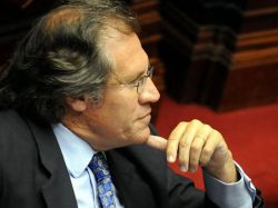 Almagro: "Este tema no daba para una interpelación"