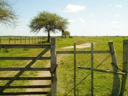 Gobierno define medidas para frenar concentración de tierra