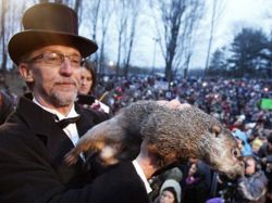 Marmota indultada tras ser condenada por errar pronóstico