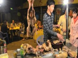 Un video muestra cómo tratan a los perros en China Un video muestra cómo tratan a los perros en China