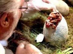 Descubren claves de embriones de dinosaurios