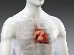 Brasil: el primer monitor cardíaco portátil inteligente