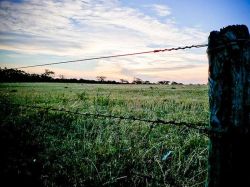 Seguridad alimentaria precisa "equitativo acceso a la tierra"