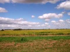 Comisión de Hacienda derogó artículos del ICIR