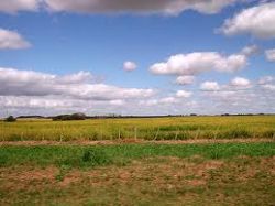 Comisión de Hacienda derogó artículos del ICIR