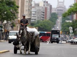 En Montevideo hay más carritos de basura que ómnibus