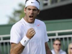 Del Potro se metió en octavos de final en Wimbledon