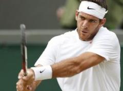 Wimbledon: Del Potro se metió por vez primera en cuartos