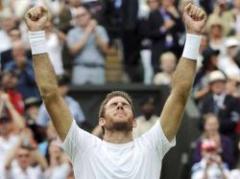 Wimbledon: Djokovic y Del Potro se verán en semifinales