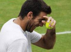 Wimbledon regala una semi de lujo entre Del Potro y Djokovic