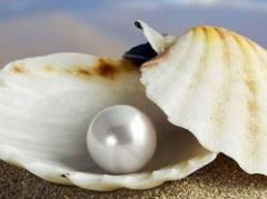 Las perlas, las esferas más perfectas de la naturaleza