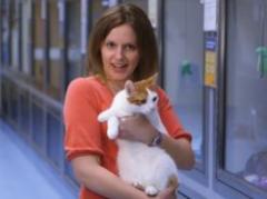 Conocé el lenguaje corporal de los gatos