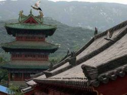 Fútbol y kung fu en escuela junto a Templo Shaolin Fútbol y kung fu en escuela junto a Templo Shaolin