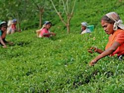 Buscan acercar internet a 5.000 millones de personas