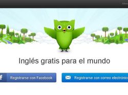 Duolingo: entre la enseñanza formal y el videojuego