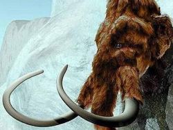 Cambios climáticos pudieron provocar extinción del mamut