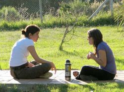 Senado aprobó proyecto sobre empleo juvenil