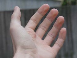 Según estudio, los zurdos viven nueve años menos