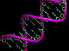 Publican mapa con diferencias genéticas entre individuos