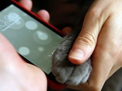 Sensor de huellas de iPhone 5S funciona con gatos y perros