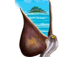 ¿Quién lastimó el pecho del pelícano?