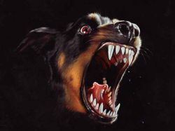 Albert Hammond Jr. lanzó adelanto de su próximo álbum