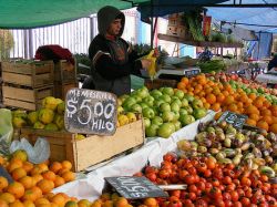 Aduana decomisó más de 50 toneladas de frutas y verduras