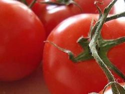 Sanción a cinco empresas que comercializan salsa de tomate Sanción a cinco empresas que comercializan salsa de tomate