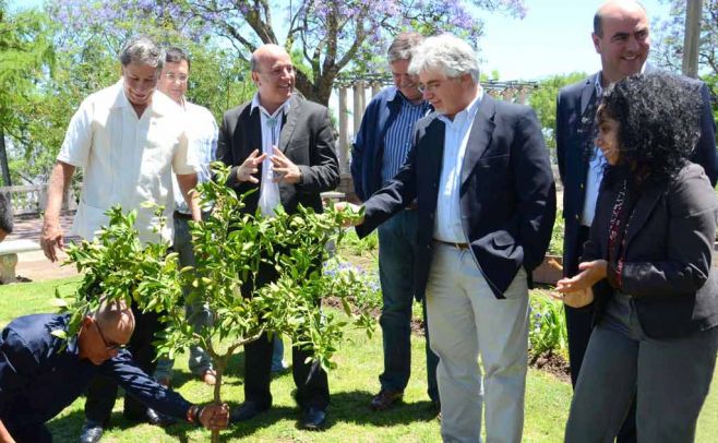 EEUU recibirá primera carga de cítricos uruguayos