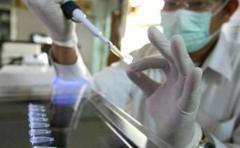 Sistema para visualizar movimientos de células iPS