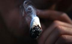 Coordinadora pro marihuana: "Se abre un mercado millonario"