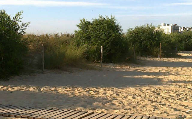 Concurrencia a las playas de Montevideo en Navidad