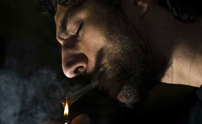 Oficialismo convocaría plebiscito para derogar ley de marihuana