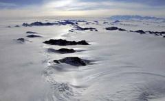 Cambio climático golpea a especies marinas en Antártida