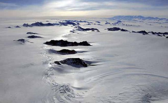 Cambio climático golpea a especies marinas en Antártida