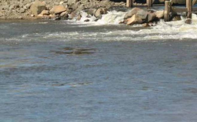 Advierten del peligro de dejar extraer oro con cianuro