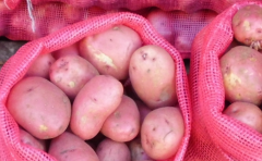 Lluvias intensas complican situación de papas en Uruguay