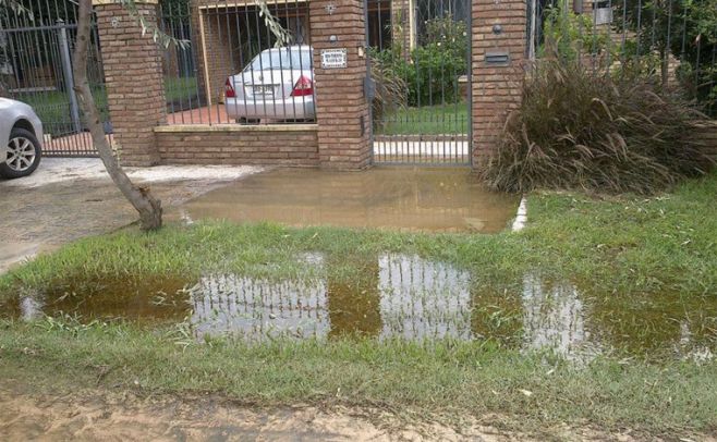 Lagomar. Rosario Castellanos